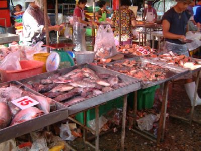 VENTA (14)  ALIMENTOS ELABORACION